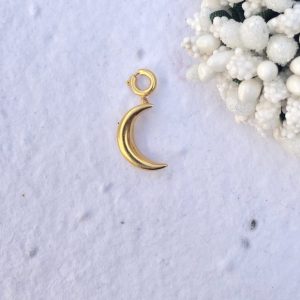 Over the moon