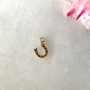 Horse shoe
